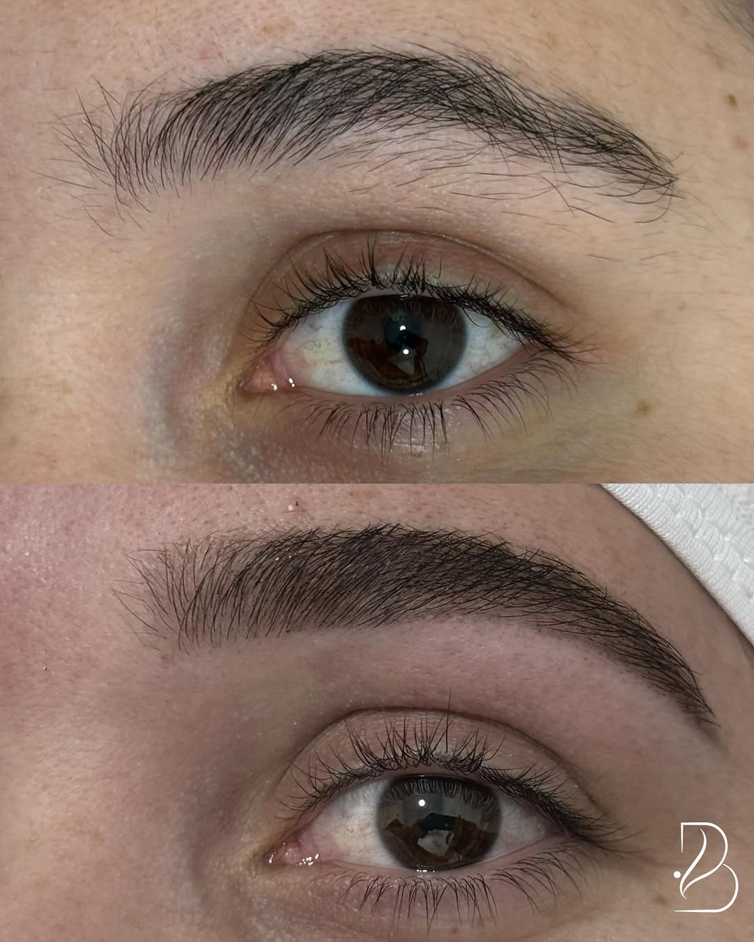 snapins-ai_3729601775344376297