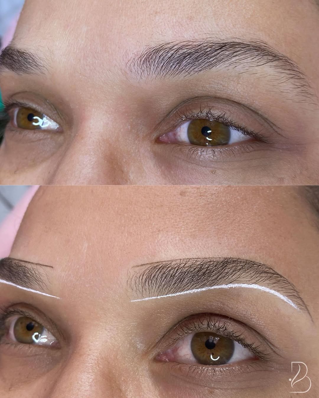 snapins-ai_3729605038227670714